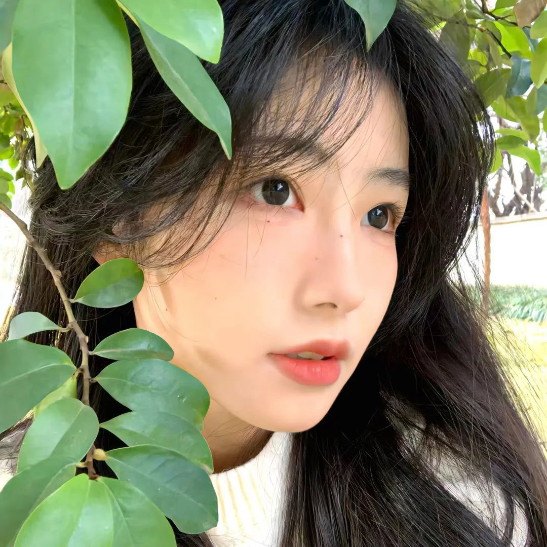 经典放映厅