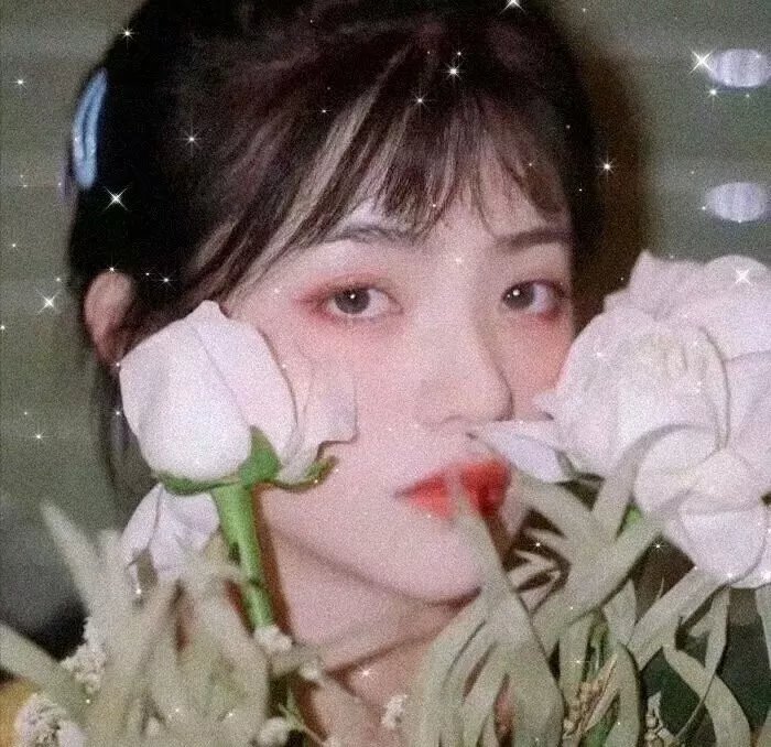 高分放映厅